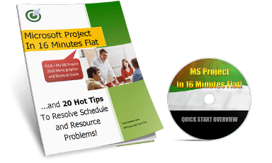 Microsoft Project 2010 Primer