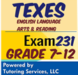 TExES study guide for Grade 7-12 English Language Arts and Reading Exam