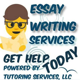 essay writing help services from content writing companies