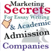 essay writing for marketing companies